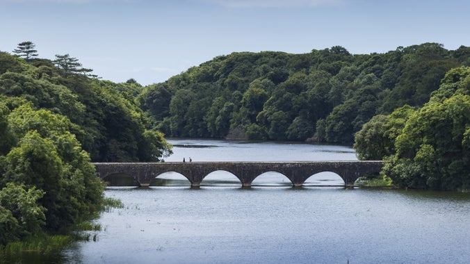 A view of Eight Arch Bridge over the Fish Pond at Stackpole